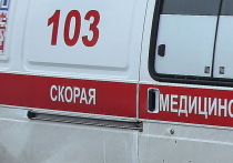 В Екатеринбурге четырехлетний ребенок выпал из окна восьмого этажа жилого дома