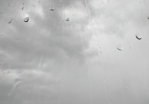 Синоптики пообещали жителям Марий Эл сильный дождь и ветер сегодняшней ночью.
