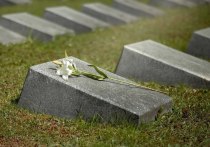 В Ленинградской области местные жители обнаружили следы от пуль на братской могиле