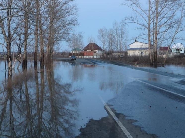 346 жилых домов остаются подтопленными в Курганской области