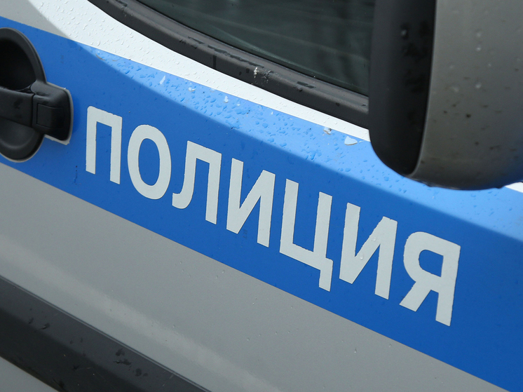 Электромонтера убило упавшим щитом в Новой Москве