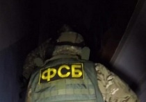 Пресс-служба Управления ФСБ по Брянской области сообщает, что в регионе был задержан мужчина, который планировал выехать на Украину с целью участия в боевых действиях против российской армии в составе проукраинской террористической организации