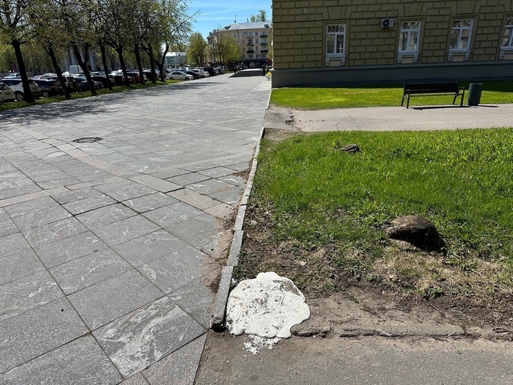 Новгородские общественники: на газон сливают пластик