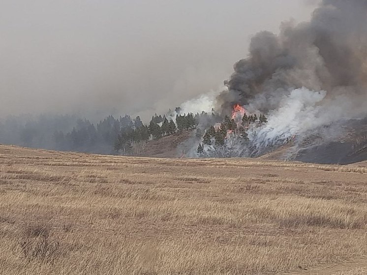 Лесной пожар на 60 гектарах локализовали в Шилкинском районе