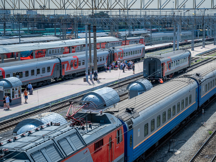 С поезда из Москвы в Челябинск сняли наркодилера с крупной партией