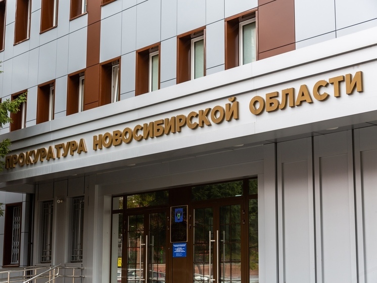 Суд обязал мэрию Новосибирска обеспечить места в детсадах и школах