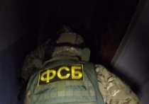 Представители пресс-службы Управления ФСБ по Донецкой Народной Республике (ДНР) сообщили, что в Авдеевке было обнаружено несколько заминированных схронов
