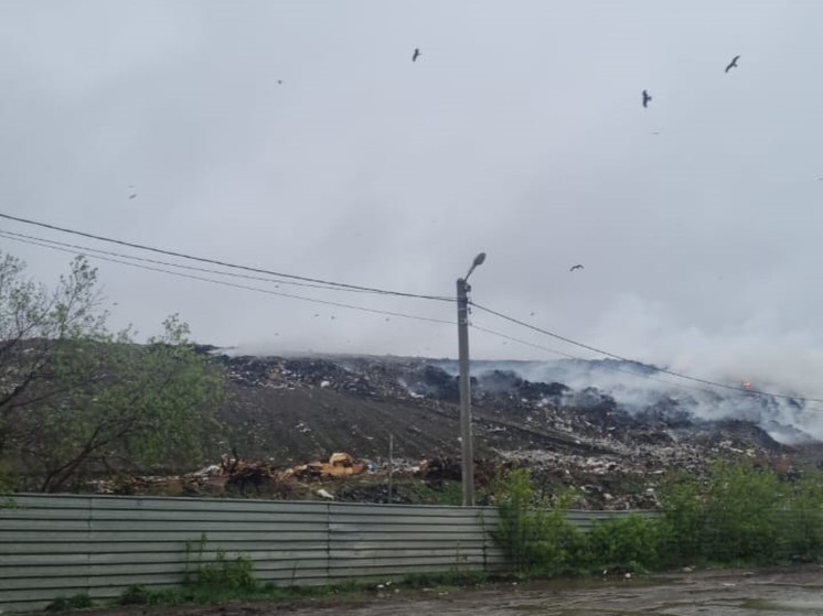 Рядом с горящим полигоном «Левобережный» в Новосибирске взяли пробы воздуха