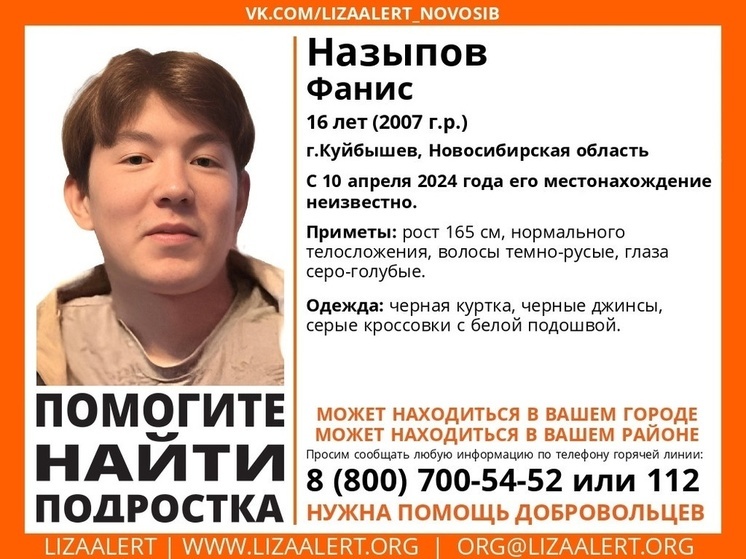 Больше месяца в Новосибирской области ищут 16-летнего подростка