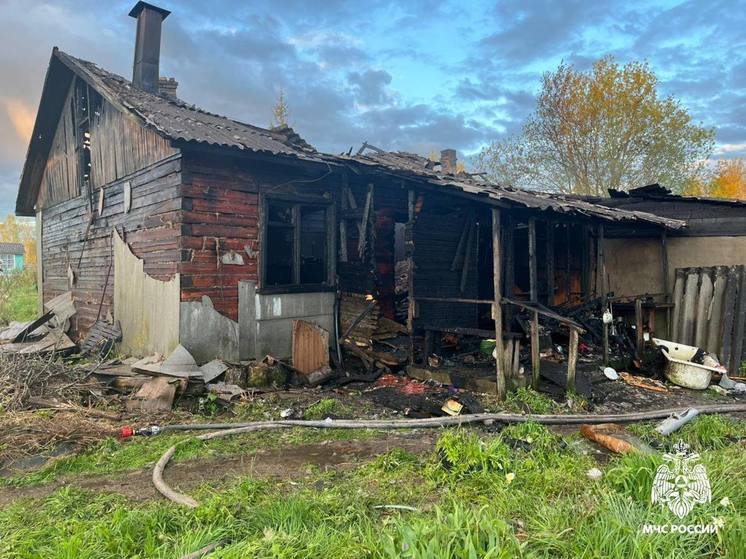 Появилось фото сгоревшего дома в Тверской области, где обнаружили тела мужчины и женщины