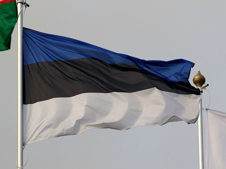 МИД Эстонии сообщил о возможных санкциях в отношении Грузии из-за закона об иноагентах