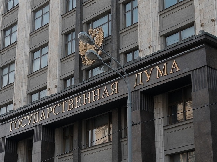 В Думу внесли закон о праве проверять загранпаспорт у россиян с гостайной