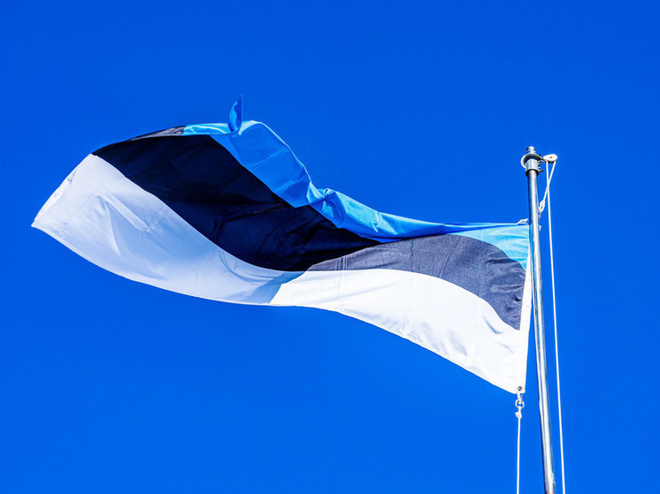 Парламент Эстонии принял закон, который позволяет направить Киеву активы России