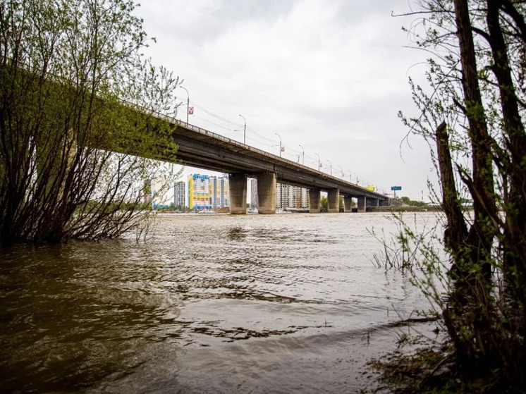 В Новосибирске на Димитровском мосту рабочие сняли верхний слой асфальта