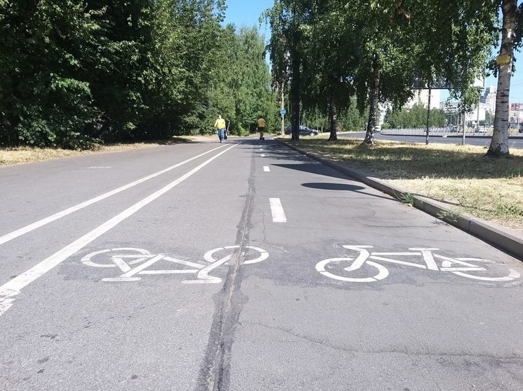 Велодорожку на Куршской косе планируют построить к концу июля