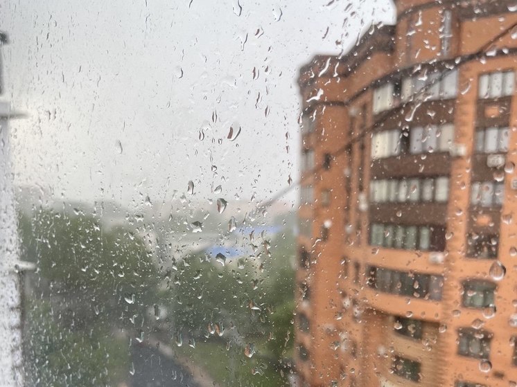 17 мая в Рязанской области ожидается дождь и до +20 градусов