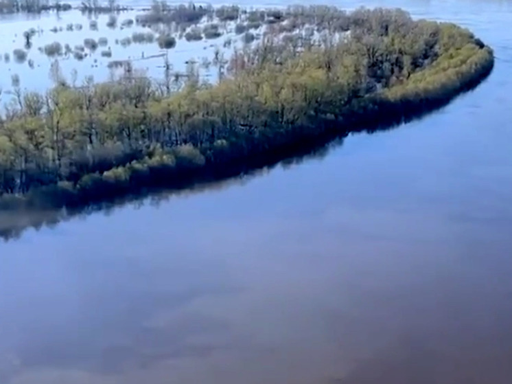Подъём воды в Иртыше на севере Омской области остановился
