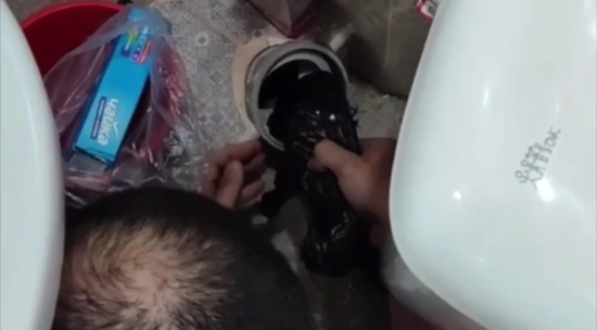 В Дагестане спасатели достали котенка из канализации: видео
