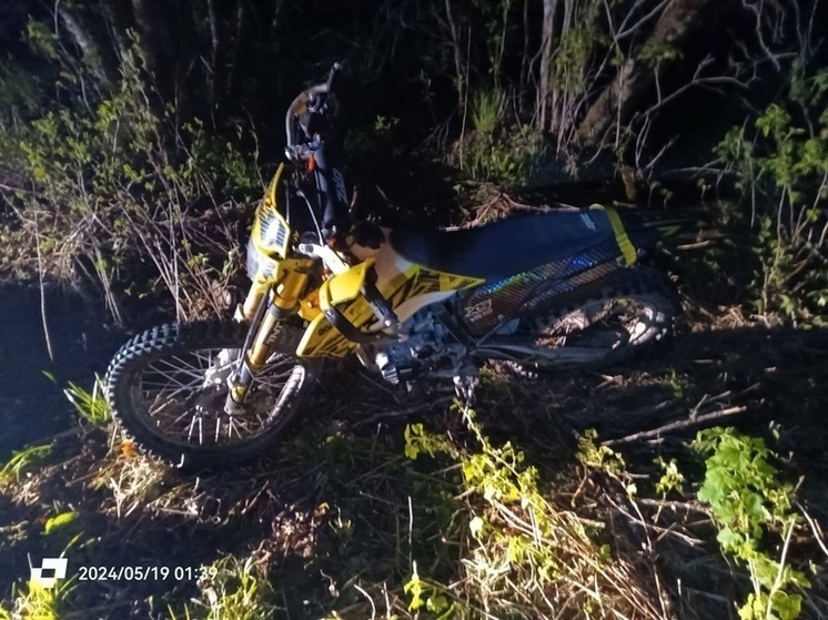 Мотоциклист врезался в столб в Череповецком районе: погибла 15-летняя девочка