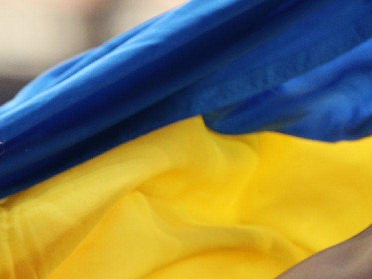 На Украине создали петицию с требованием вручить повестку Зеленскому