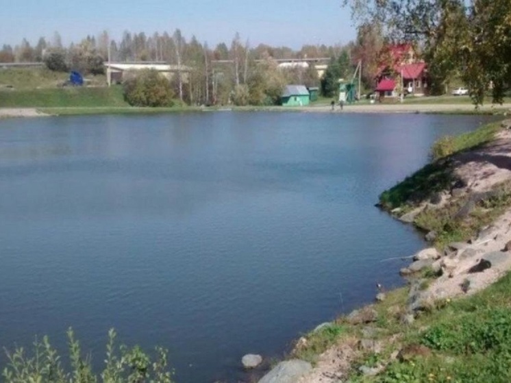Минприроды Новосибирской области не выявило загрязнения в реке Забабуриха