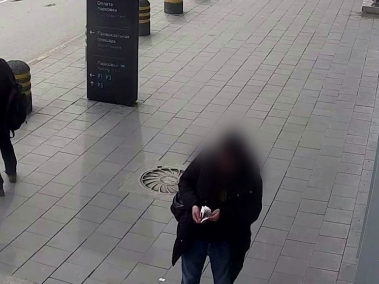 Житель Якутии украл поясную сумку у пассажира Толмачёво в Новосибирске
