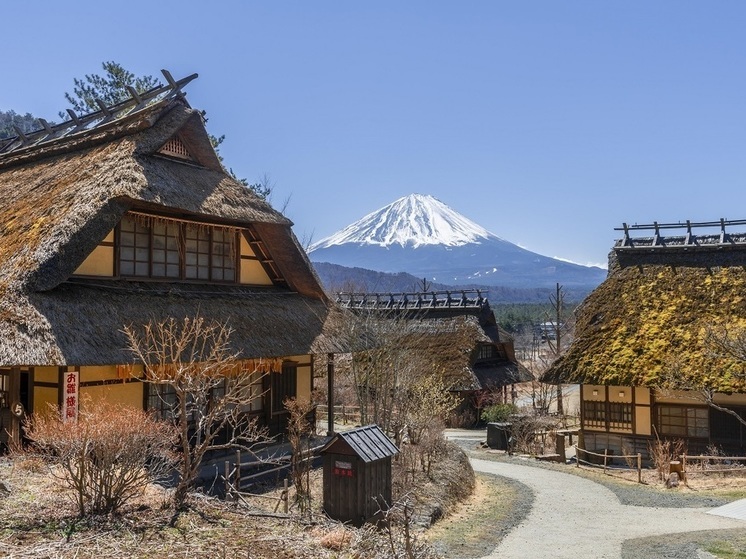 В японском поселке Фудзикавагутико закроют вид на гору Фудзи из-за непристойного поведения туристов