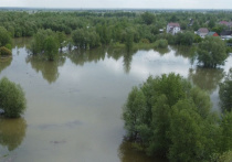 По состоянию на утро 27 мая, в микрорайоне Затон Барнаула вода частично зашла на 33 приусадебных участка. Об этом свидетельствуют данные регионального ГУ МЧС России.
