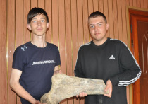 Вблизи села Юдиха Тюменцевского района два мальчика нашли костные останки, которые, возможно, могут принадлежать древнему мамонту