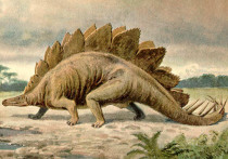 «Признаки артрита указывают на то, что динозавр дожил до преклонного возраста»

