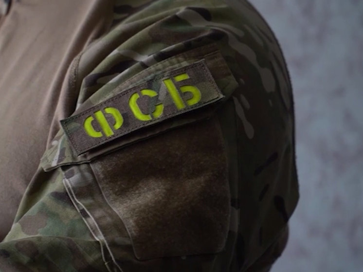 ФСБ РФ сообщила, что в Севастополе вскрыта агентурная группа украинских спецслужб, которая планировала диверсии и теракты против Черноморского флота
