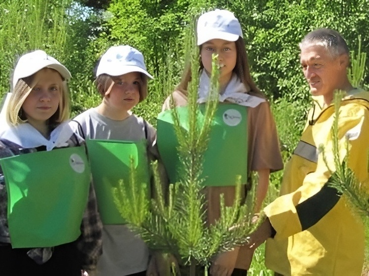 В Архангельской области подвели итоги регионального этапа Всероссийского юниорского лесного конкурса «Подрост-2024», который проводит Федеральное агентство лесного хозяйства