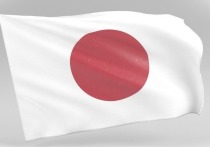 «Если не будут приняты радикальные меры, Япония исчезнет»

