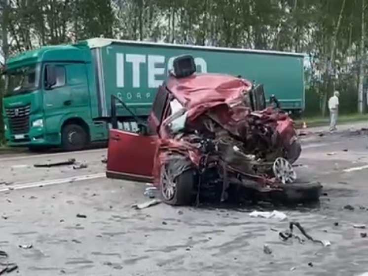 Причиной смертельного ДТП в Рязанской области, в котором погибли восемь человек, стал выезд автобуса на встречную полосу