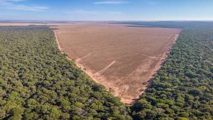 Einst Regenwald, jetzt Ackerland: Drohnenflug über dem brasilianischen Bundesstaat Mato Grosso.