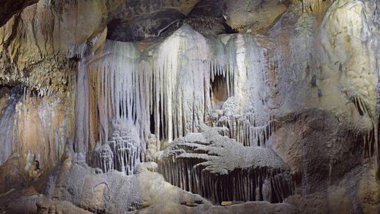 Eine Wand aus Tropfsteingebilden in der Dechenhöhle.