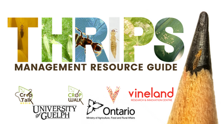 Thrips Management Resource Guide