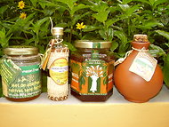 From left to right, "uruçú" and "tiúba" honey from Brazil, Mexican "negrita" and Bolivian "suro negro." 