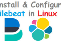 Steps to Install and Configure Filebeat on Linux
